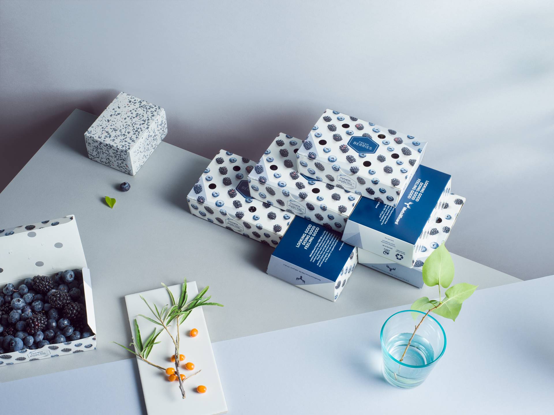 Metsä Board paperboards hold industrial compostability certifications