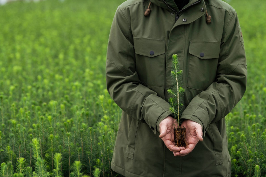 Metsä Board achieves the highest sustainability rating from EcoVadis