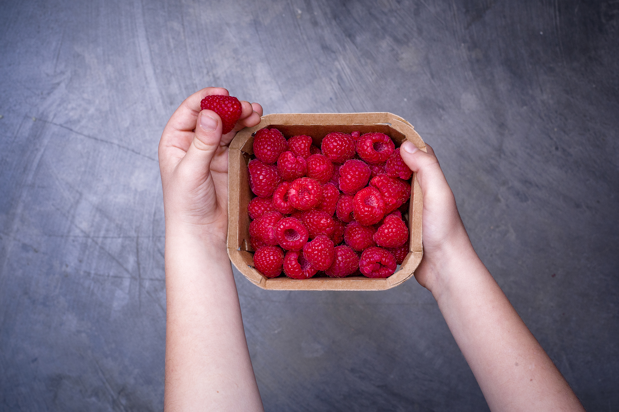 Hinojosa records turnover of €644m in 2021