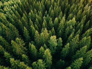 AdobeStock 192168592