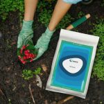 Amcor boosts industrial film capability with major printing line investment in Hardenberg, Netherlands