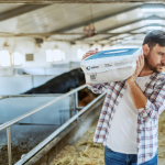 Feed and bedding producers adapt packaging strategies as operational and regulatory requirements evolve