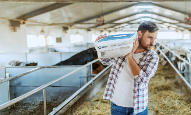 Feed and bedding producers adapt packaging strategies as operational and regulatory requirements evolve