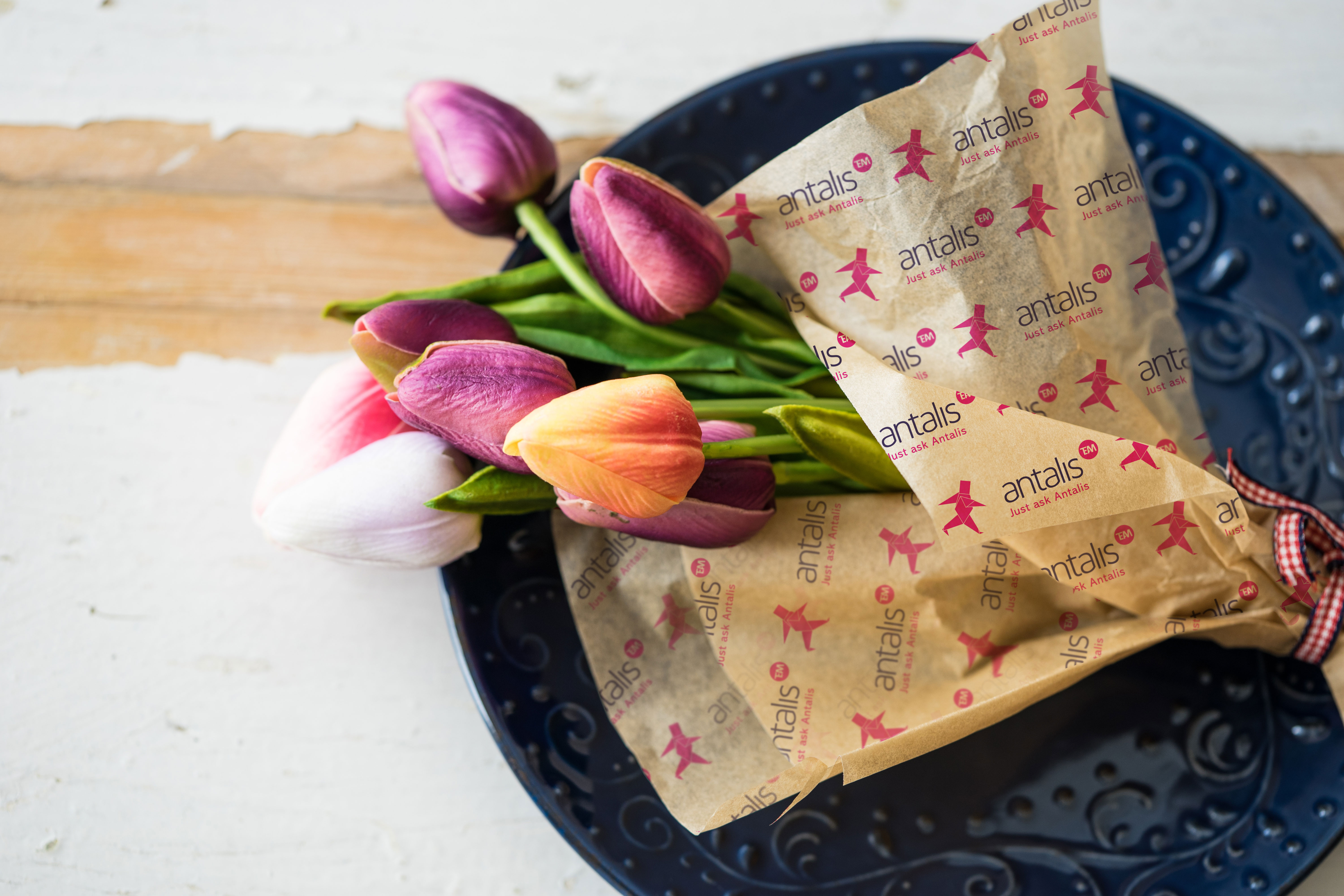 It’s a Wrap – Antalis announces new packaging partnership