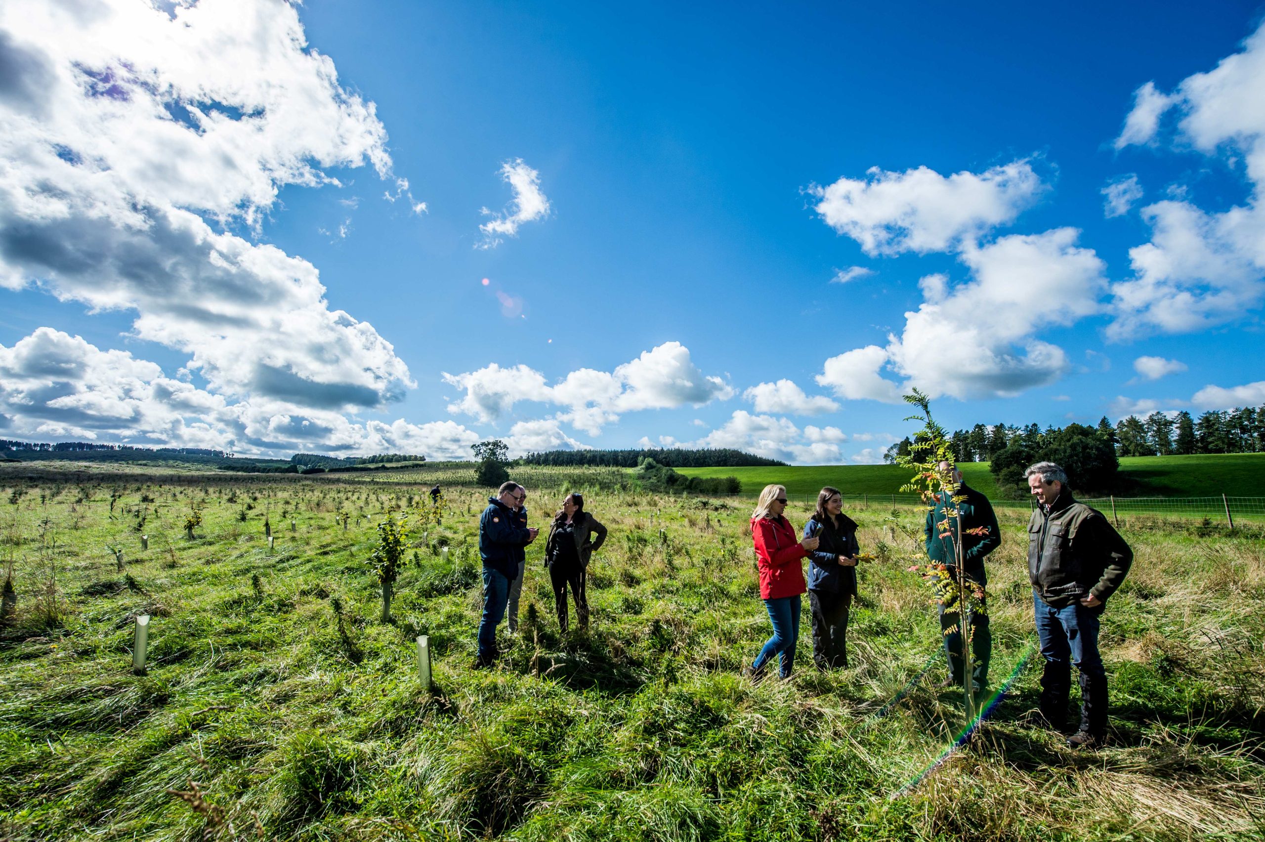 ANTALIS SUPPORTS FOREST GROWTH WITH TREE PLANTING