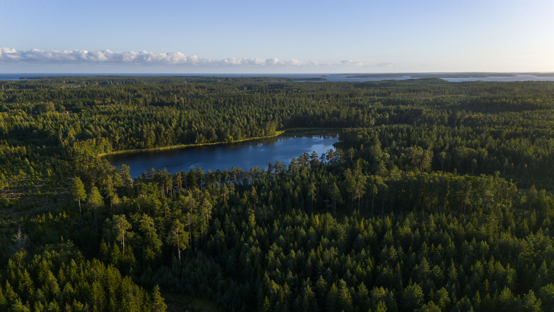 CDP recognises Metsä Board with a triple ‘A’ score for leadership on climate change, forests and water security