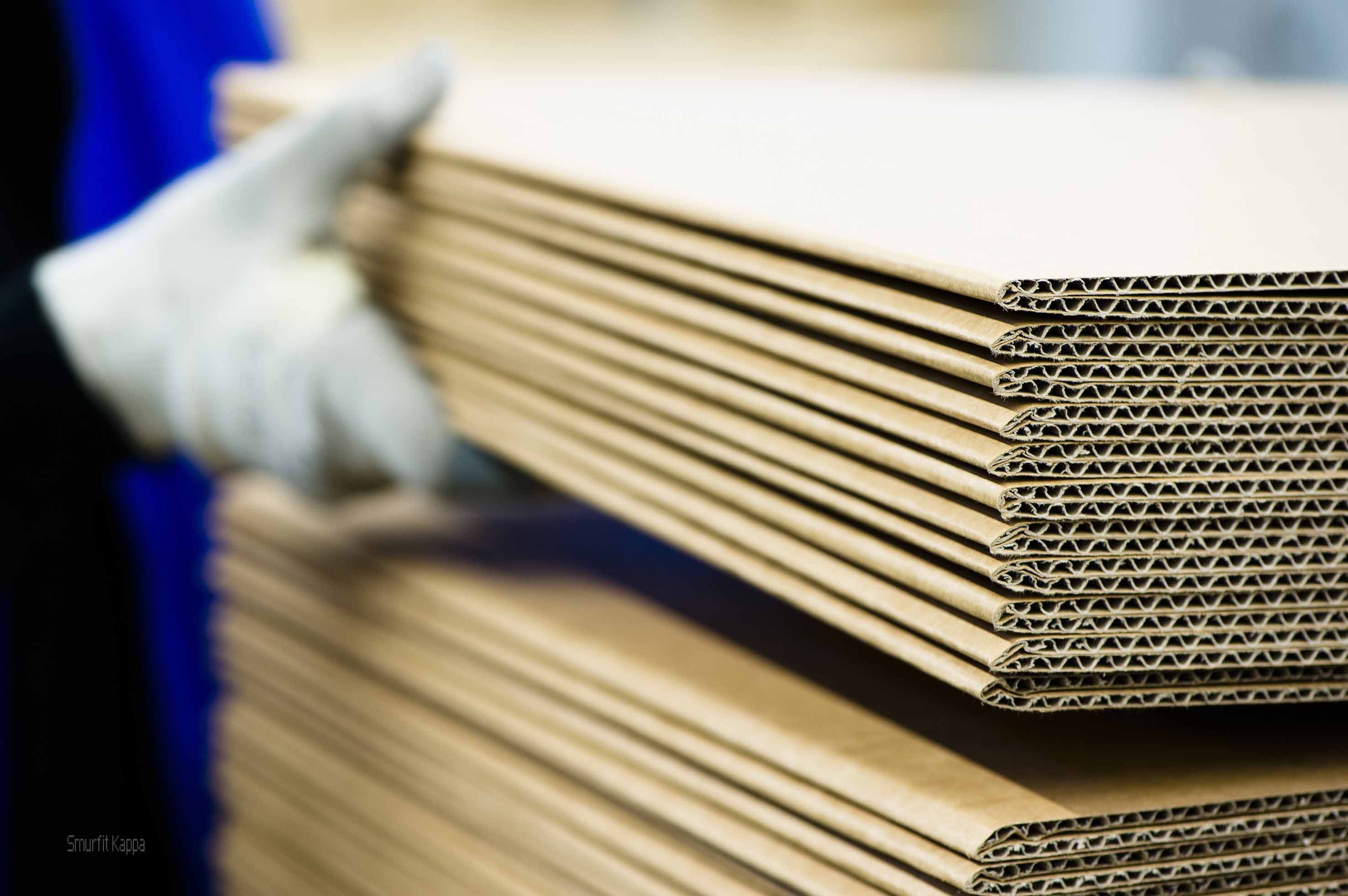 Sustainability and superior shelf ready packaging in 2016