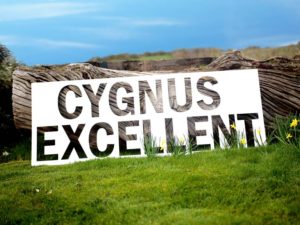 Cygnus Excellent Image