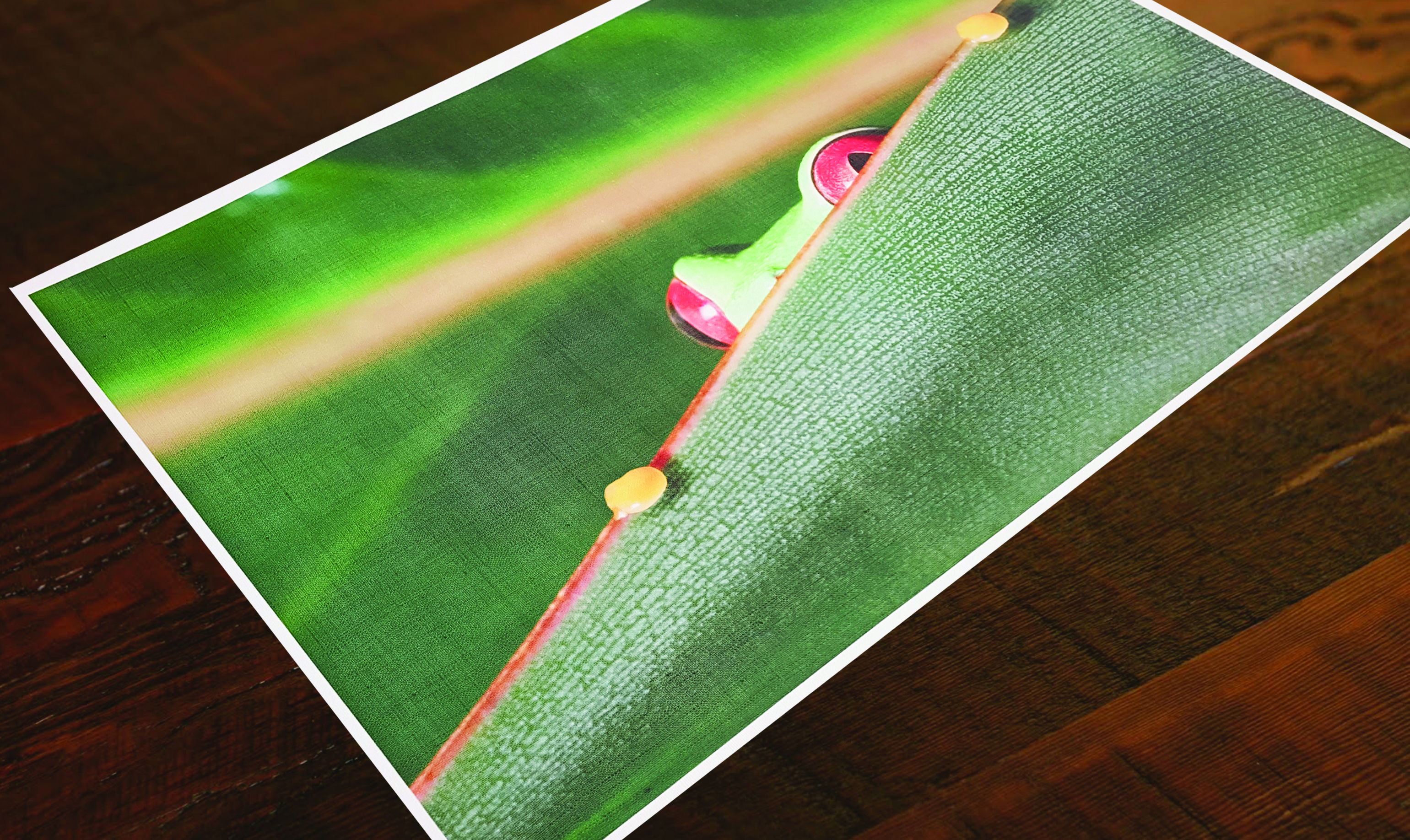 Drytac announces plans for FESPA 2017