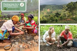 GrowMyTree WebsiteNews