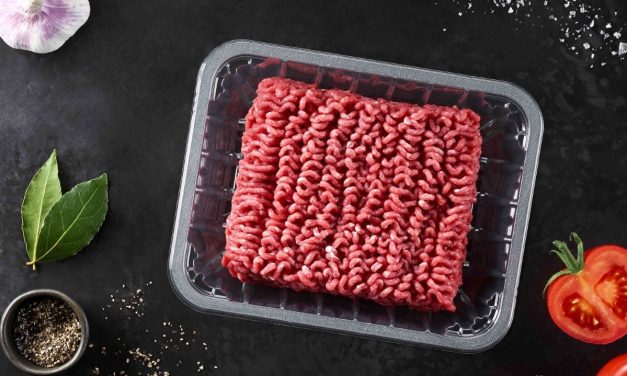 kp ELITE tray patent claims upheld  by the European patent office board of appeals