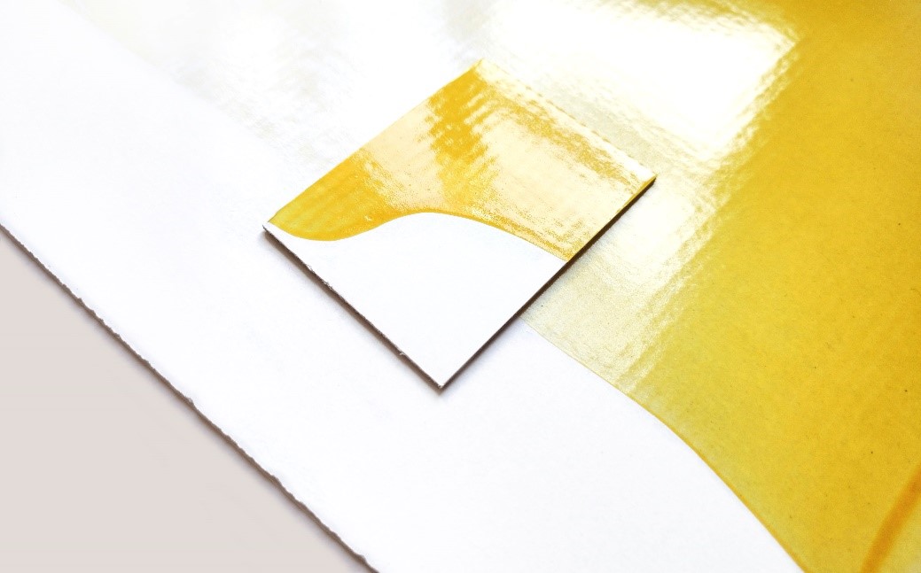 Mondi and traceless team up to develop a ground-breaking coating solution from agricultural by-products