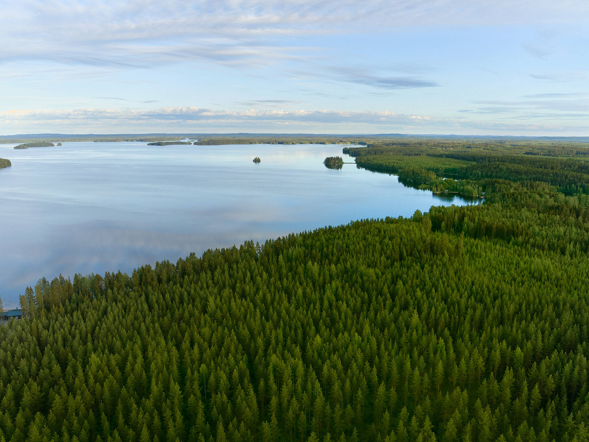 Metsä Board scores triple CDP ‘A’ for its environmental leadership