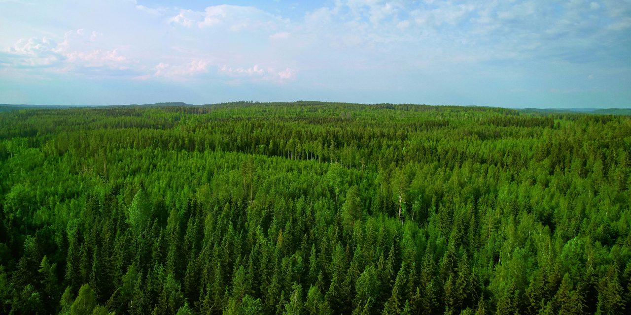 Metsä Board expands its climate targets to end of life emissions with SBTi validation