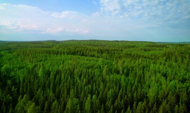 Metsä Board expands its climate targets to end of life emissions with SBTi validation