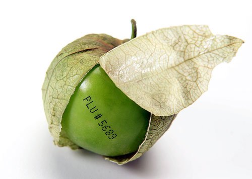 Increase in worldwide continuous ink jet distributor network