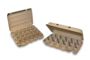 Tekni egg PR 9.30.24 copy