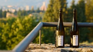 Yanmar Sake Article Image 0001 1920