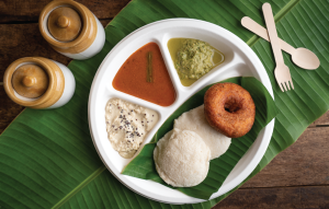 dinearth disposable bagasse 4cp plate 11