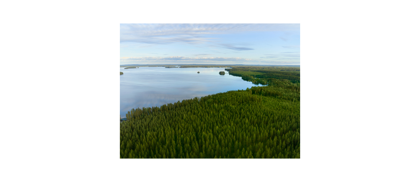 CDP recognises Metsä Board with a ‘A’ score for transparency on climate change and water security