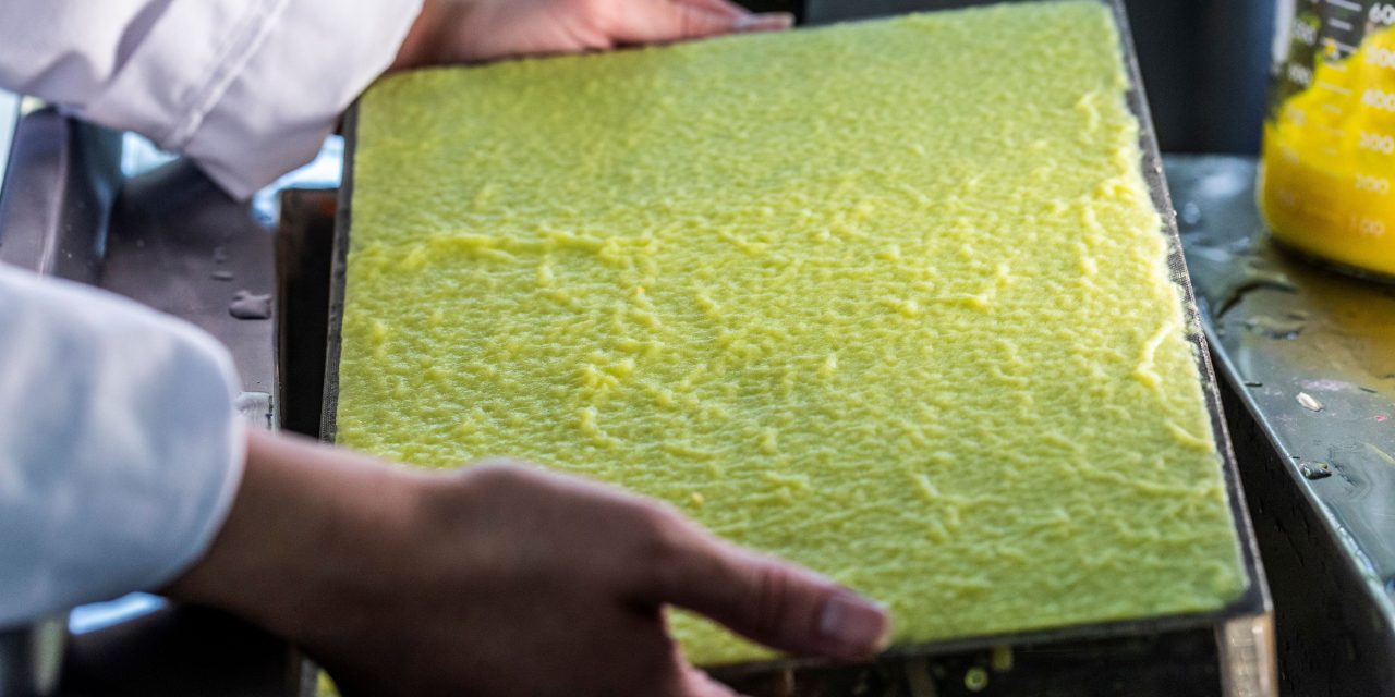 Evolving tradition: James Cropper chairman on preserving colour for six generations