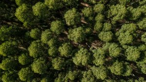 shutterstock 1967598919