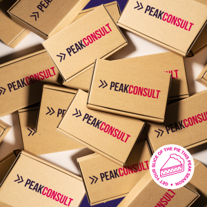 social media image Peakconsult